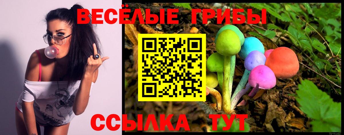 Галлюциногенные грибы Psilocybine cubensis Бирск